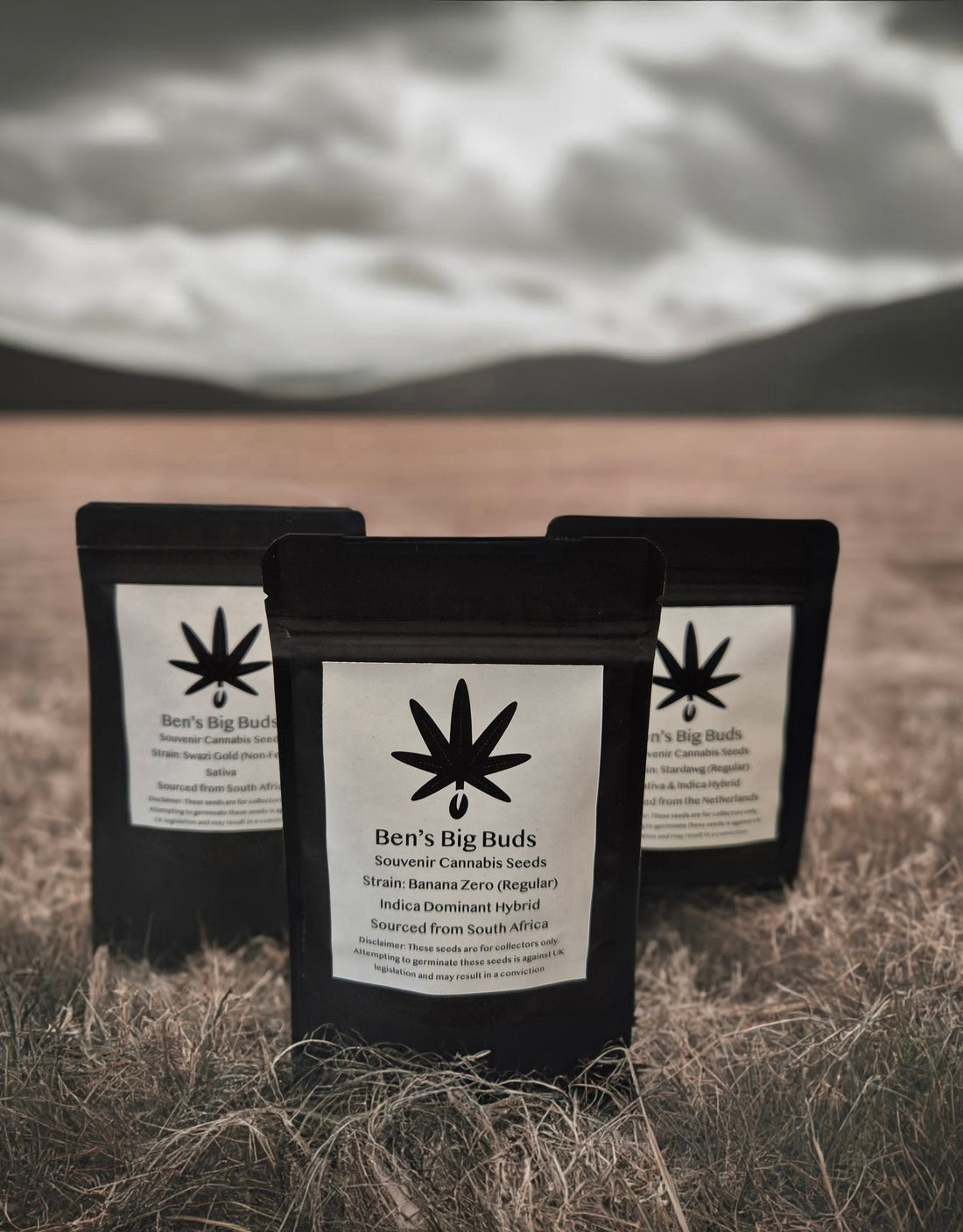 The Law on Cannabis Seeds