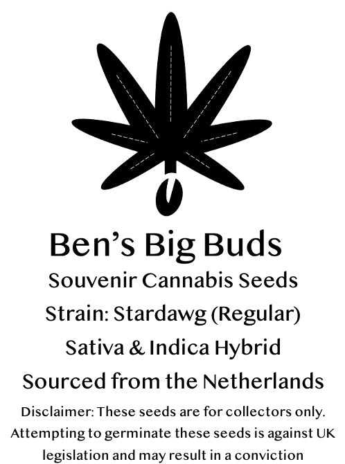 Single Regular Stardawg Seed